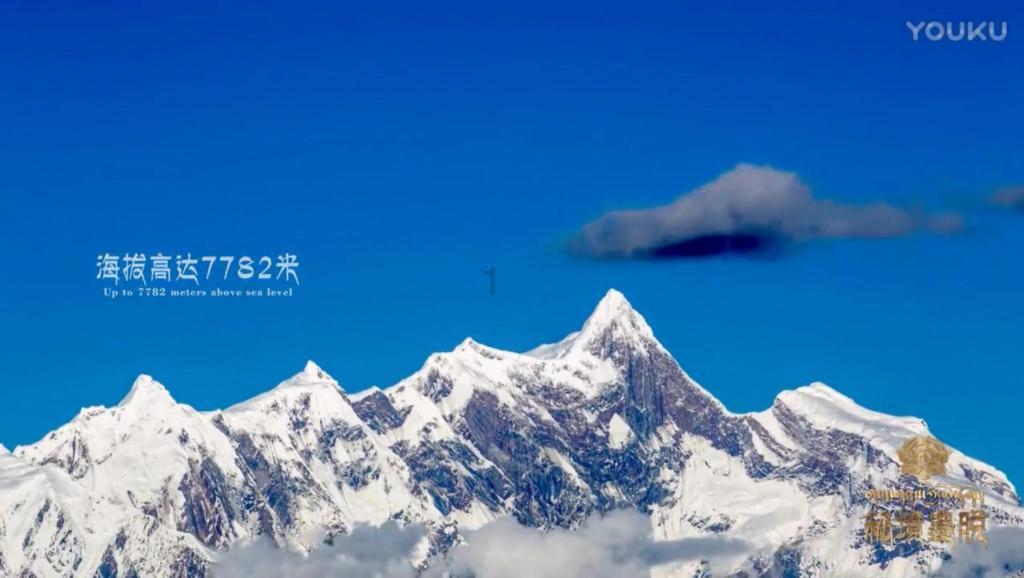 危险的社会